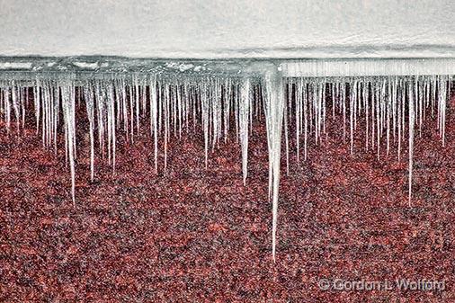 Icicles_28424.jpg - Photographed during a snowstorm at Smiths Falls, Ontario, Canada.